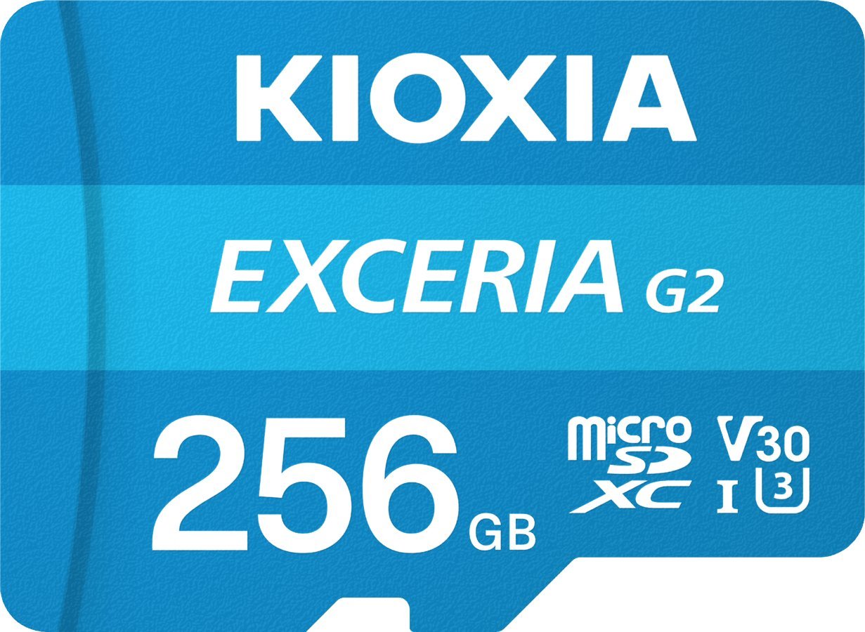 Karta Kioxia Exceria G2 SDHC 256 GB Class 10 UHS-I U3 A1 V30 (LMEX2L256GG2)