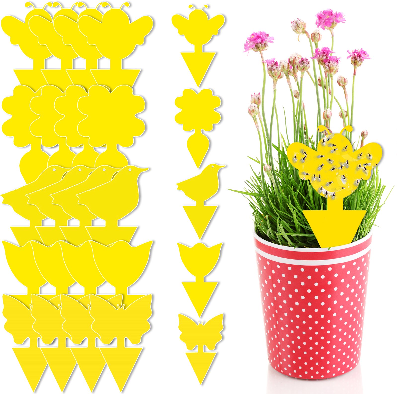 Lep do doniczek na owady, owocówki Heckermann 20szt