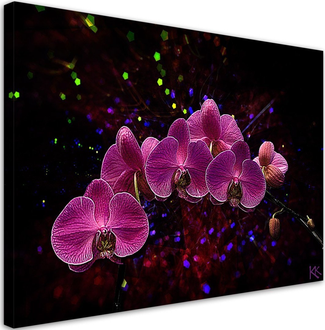 Feeby Obraz na płótnie, Orchidea na ciemnym tle - 100x70
