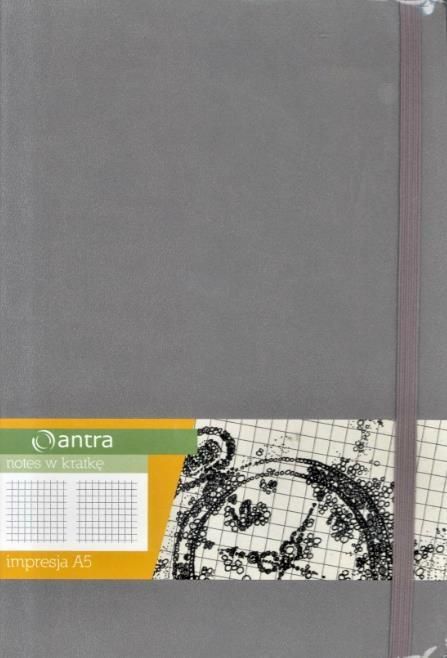 Antra Notes A5 Kratka Impresja (244303)