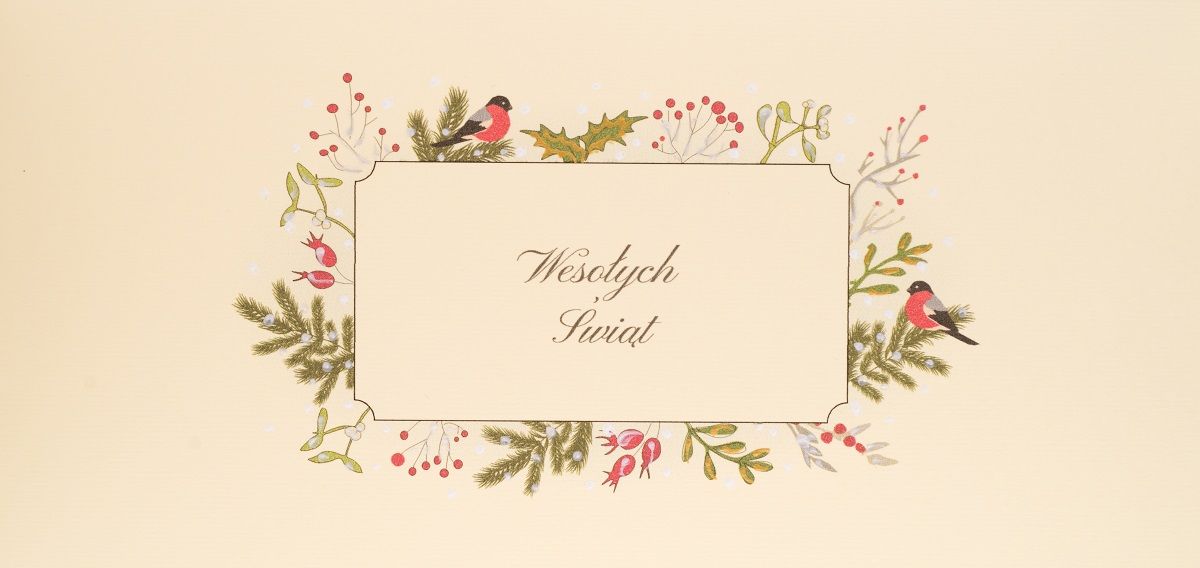 MAK Karnet Święta DL B29 - Wesołych Świąt Ptaszki