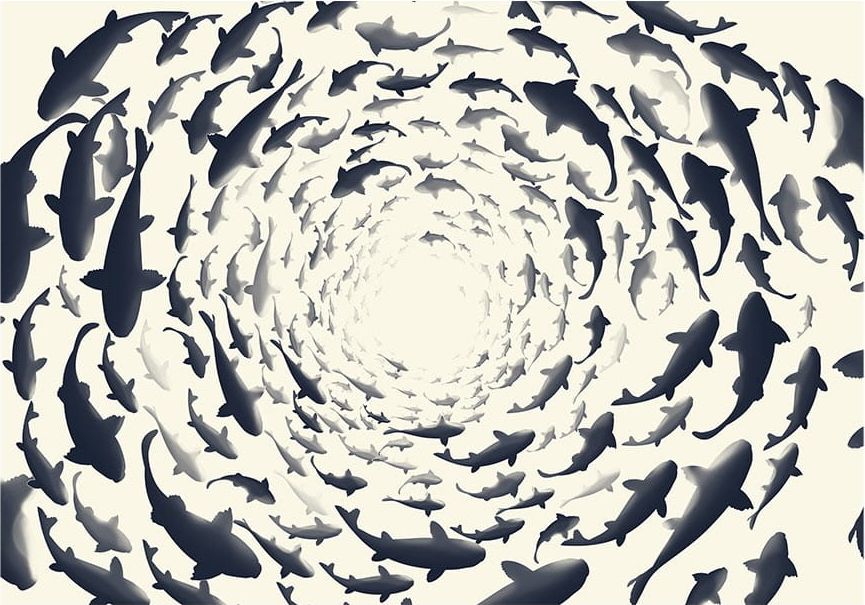 DecoNest Fototapeta - Rybie zawirowanie - 150X105