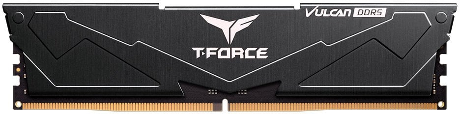 Team Group FLBD516G6000HC38A01, 16 GB, 1 x 16 GB, DDR5, 6000 MHz
