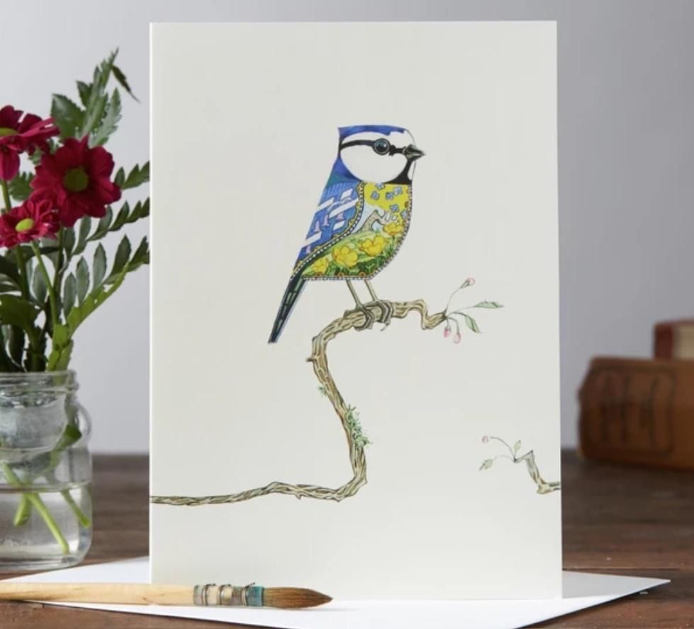 DM Collection Karnet A047 B6 + koperta Ptak modraszka