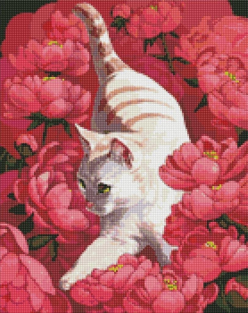 Ideyka Diamentowa mozaika - Kot w piwoniach 40x50cm