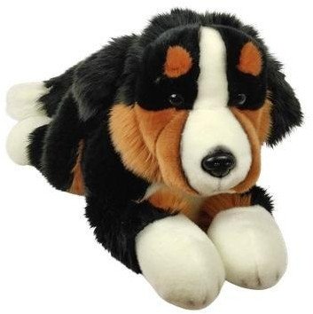 Dubi Pies Berneński 30cm