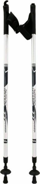 Best Sporting Kije trekkingowe