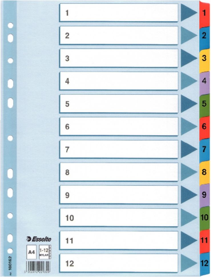 Esselte Zakładki indeksujące kartonowe 1-12 Białe (100162)