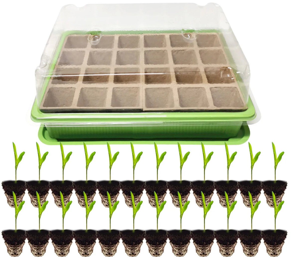 TG71428 MINI SZKLARNIA INSPEKT doniczki torfowe KIEŁKOWNIK ROZSADA 24 komory + taca
