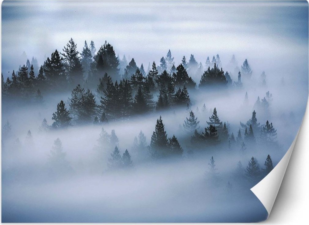 Feeby Fototapeta, Las we mgle - 250x175