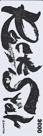 SHAPTON ROCK STAR 60416 Kamień do Ostrzenia o Gradacji 3000