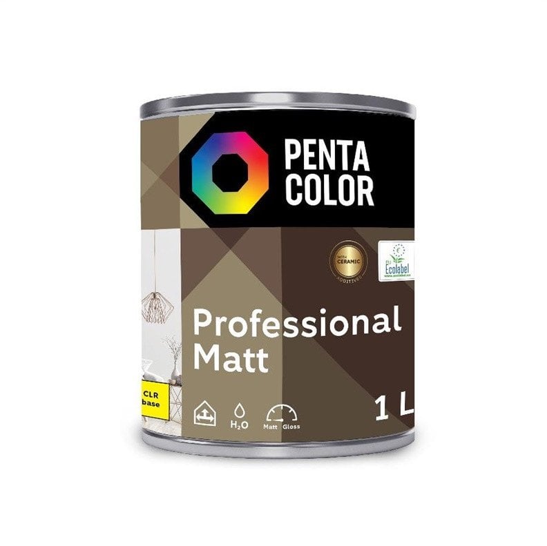 DISPERSION PAINT PROFESSIONAL MAT CLR B