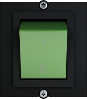 Bachmann BACHMANN ramka 1x przełącznik 2-biegunowy zielony, prąd 1.0m AEH