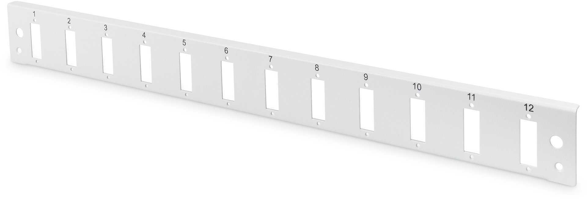 Digitus DIGITUS Frontblenda LWL 1HE Szybkozłączka 12x SC DX vertikal Kolor szary RAL 7035