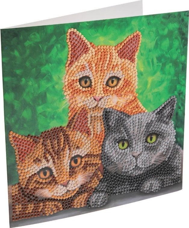 Cats, 18x18cm Crystal Art Card