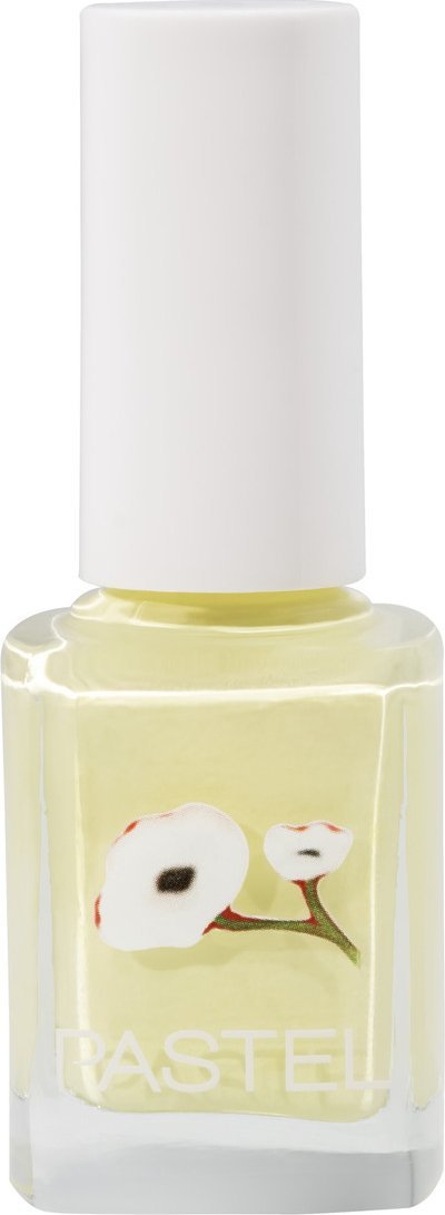 Pastel Lakier do paznokci 13ml (413)