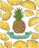 HENRY Karnet B6 Ananasy