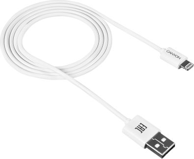 Kabel USB Canyon USB-A - 1 m Biały (CNE-CFI1W)