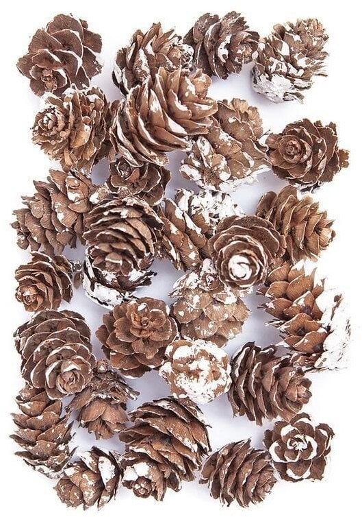 Dekoracja świąteczna ForCell Mini bielone szyszki 25g