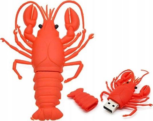 Pendrive Dr. Memory 32 GB