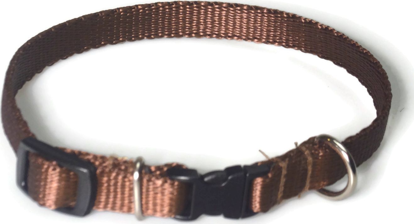 Alizoo Obroża dla małego psa 13mm/21-36cm - ALIZOO