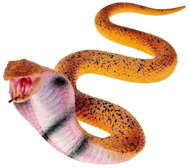 Wąż elastyczny 21x18,5x5cm