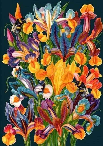 Madame Treacle Karnet B6 z kopertą Irysy nocą