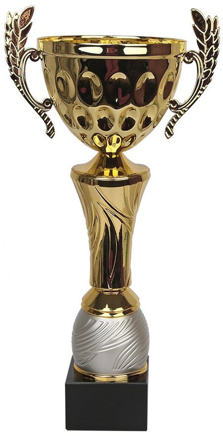 Tryumf Puchar Tryumf W1888