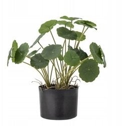 Bloomingville Copper Plante Zielony Sztuczne Kwiaty