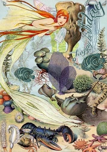 Madame Treacle Karnet B6 brokat z kopertą Urodziny Morze