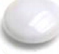 Argo Magnesy 50mm ARGO WF 607411 białe 3 szt