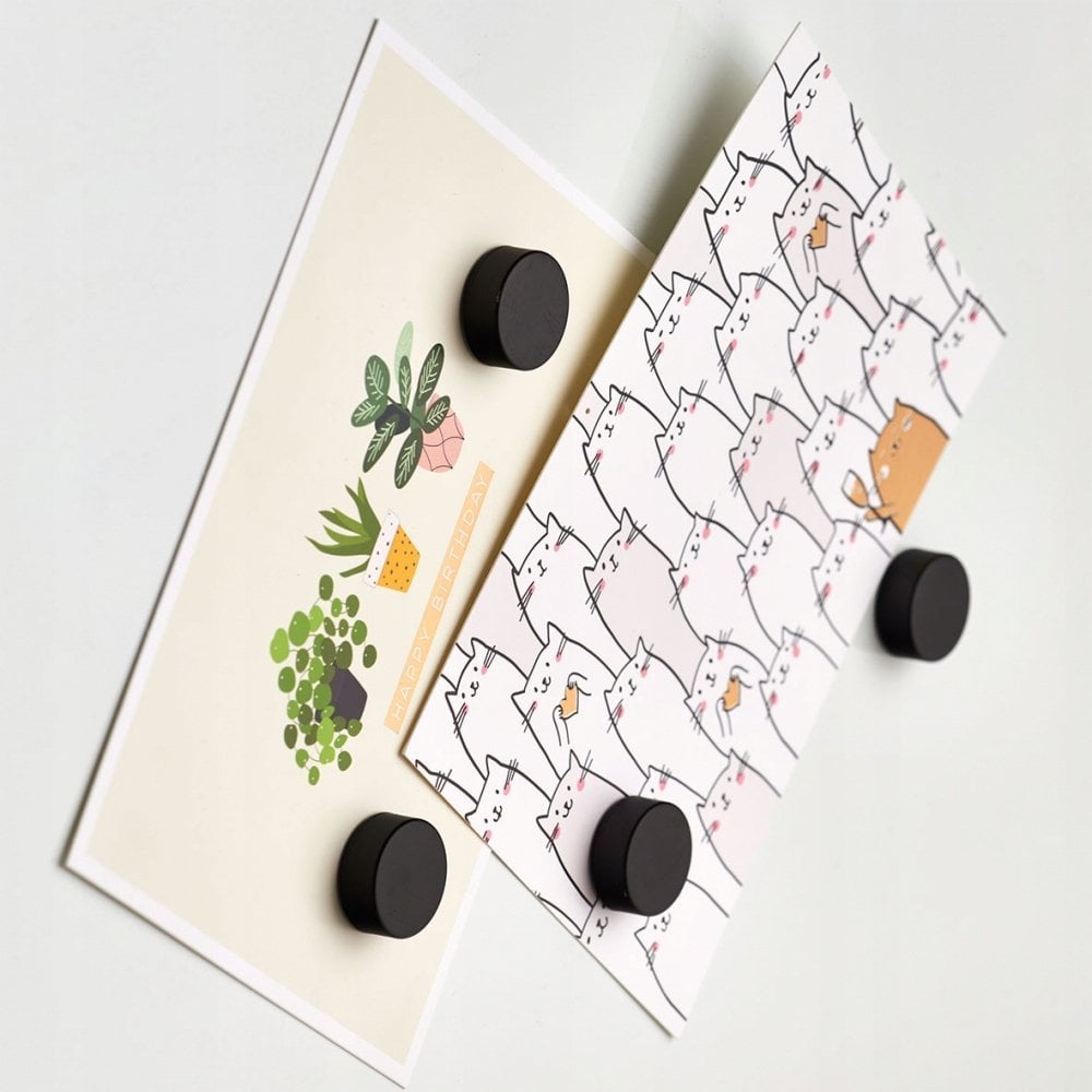 Zeller Komplet magnesów, 4 sztuki, Ø 2,3 cm