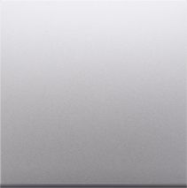 Kontakt-Simon Zaślepka Simon 54 bez mostka srebrny mat (DP/43)