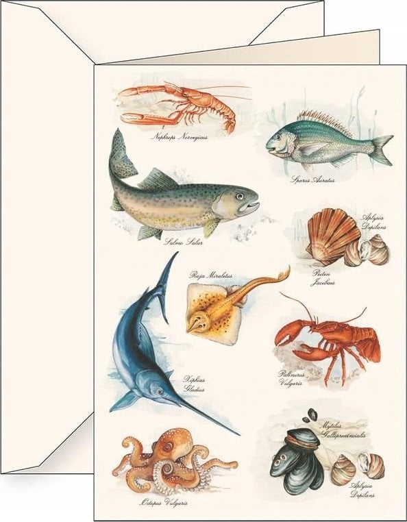 Tassotti Karnet B6 + koperta 5609 Morze