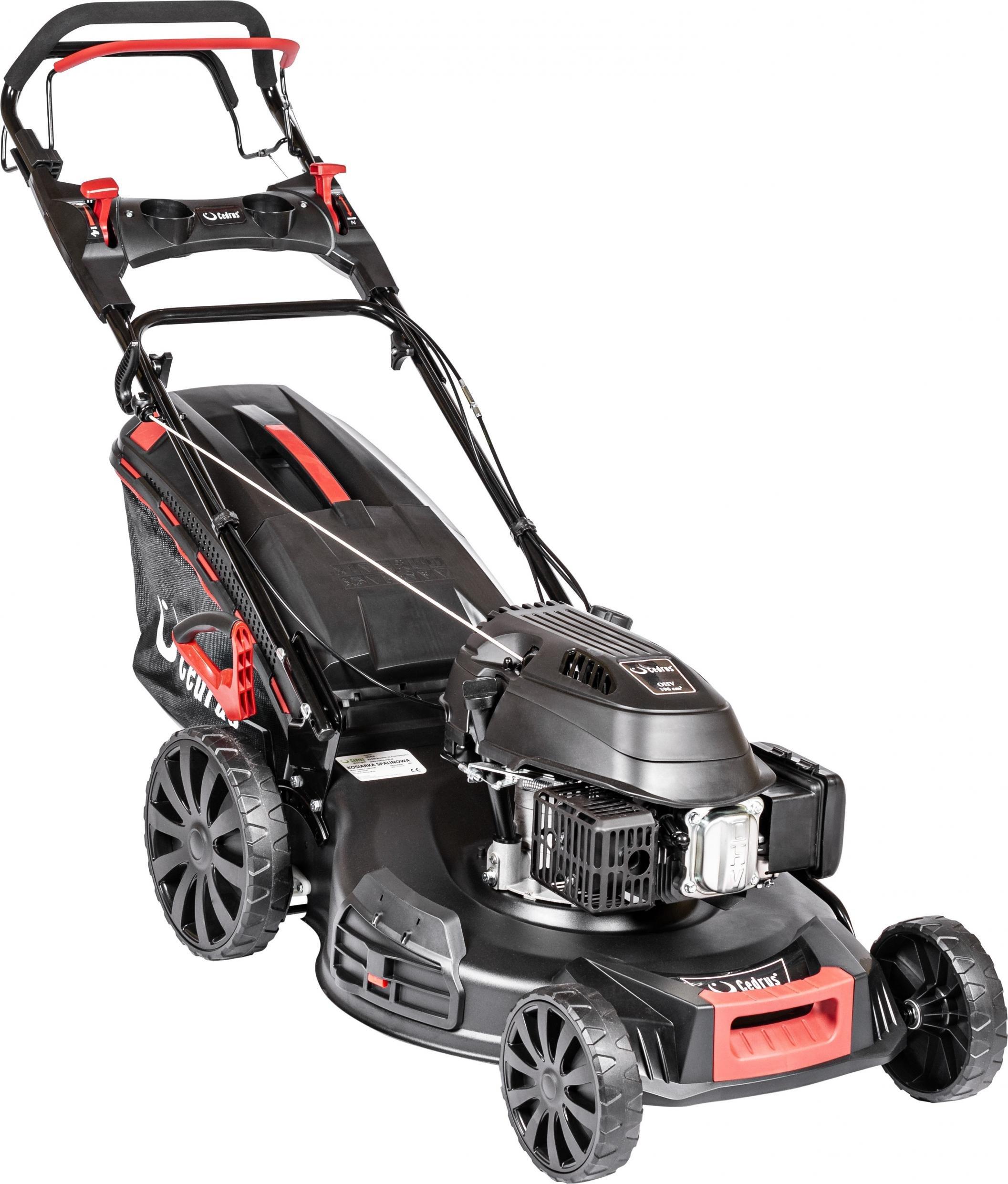 Kosiarka spalinowa Cedrus KS56S