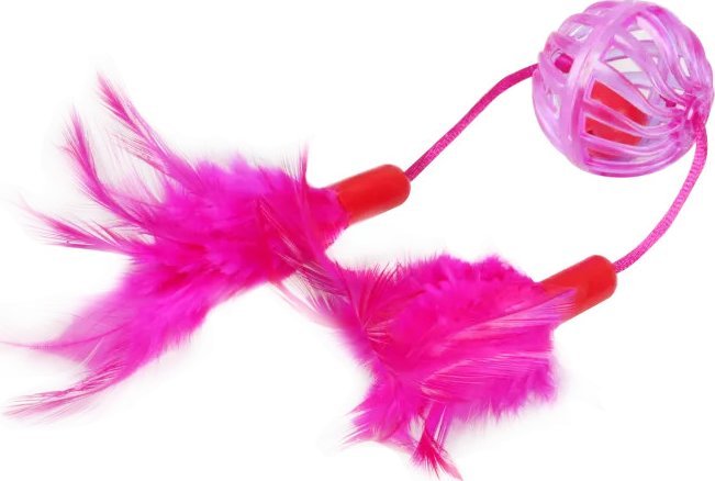 Nobleza Kurczak włosy piłka dla kota Kurczak włosy piłka