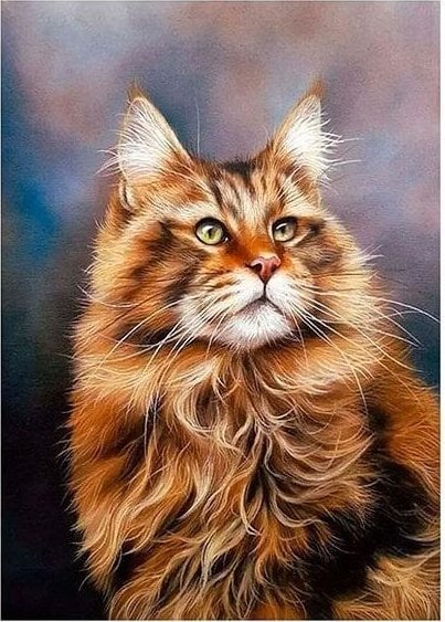 Norimpex Mozaika diamentowa 5D - Kot 40x30cm