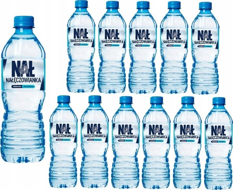 Woda Nałęczowianka Woda Nałęczowianka 0.5L niegazowana (12)