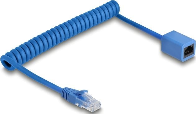 DeLOCK 90364 kabel sieciowy Niebieski 0,75 m Cat6 U/UTP (UTP)