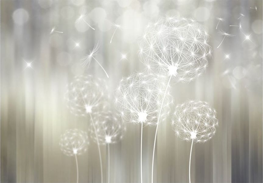 DecoNest Fototapeta - Podarunek słońca - 300X210