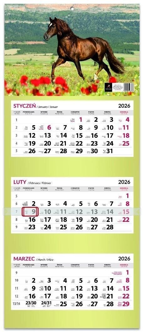 Kalendarz 2026 trójdzielny kaszerowana główka MIX