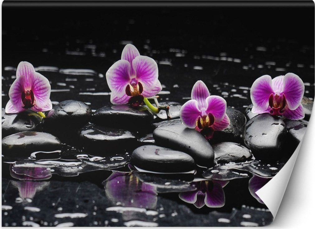 Feeby Fototapeta, Kamienie zen orchidea - 200x140