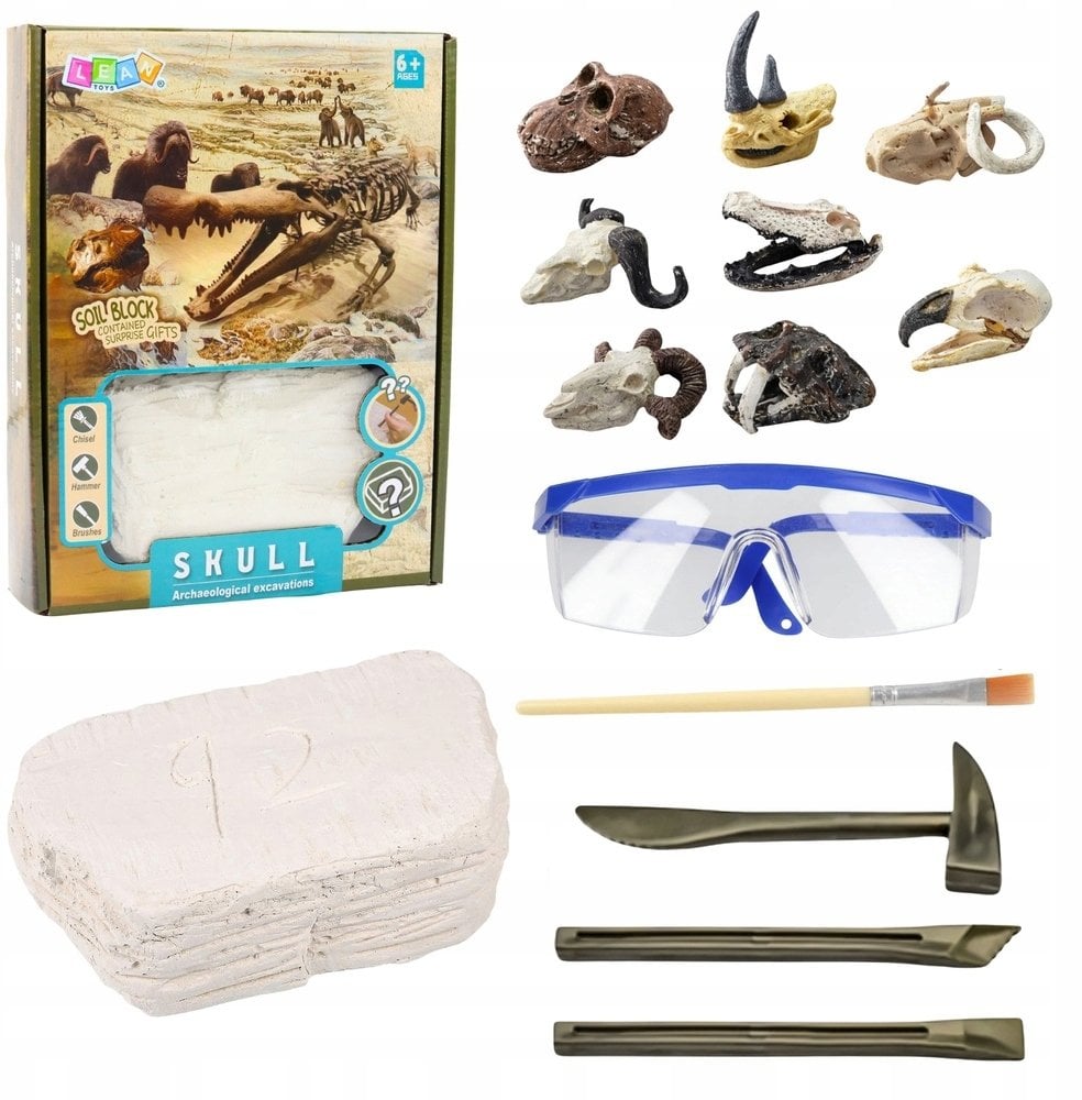 Zestaw Archeologiczny Wykopaliska Czaszek Kości Narzędzia Akcesoria
