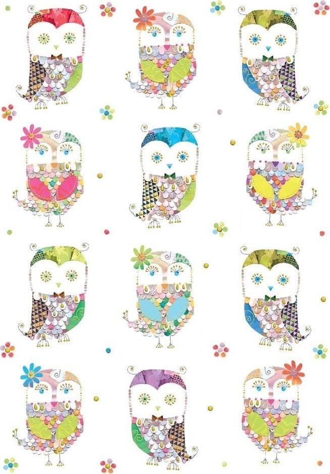 Turnowsky Karnet B6 + koperta Sówki