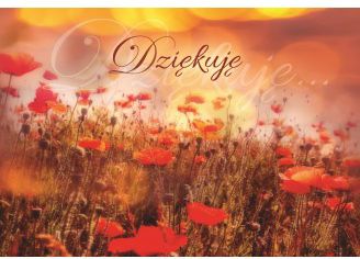 Szaron A Kartka składana - Dziękuję (225799)