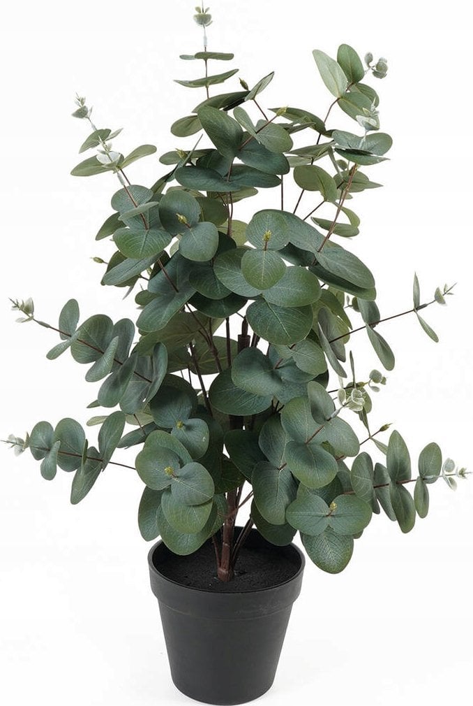 Sztuczny eukaliptus w doniczce EDEN, 54 cm