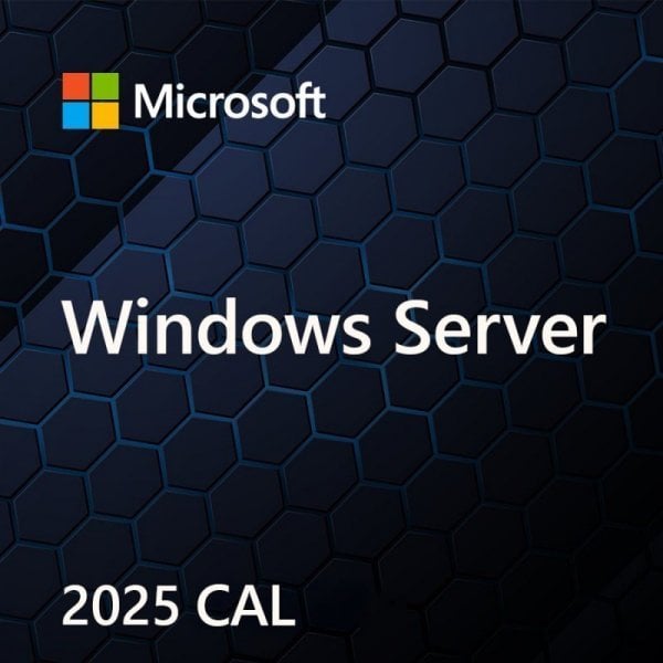 Microsoft Windows Server CAL 2025 PL Clt User CAL OEM (EP2-25286)