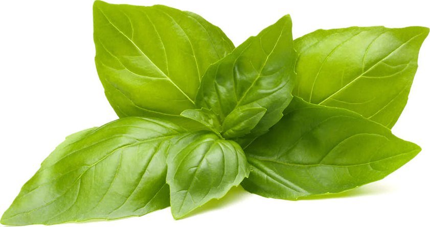 Click And Grow Click & Grow Smart Refill Lemon Basil 3pcs