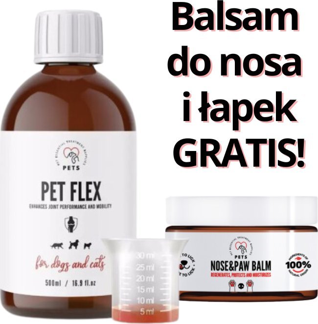 Pets PET FLEX Preparat na stawy i mobilność dla zwierząt 500ml