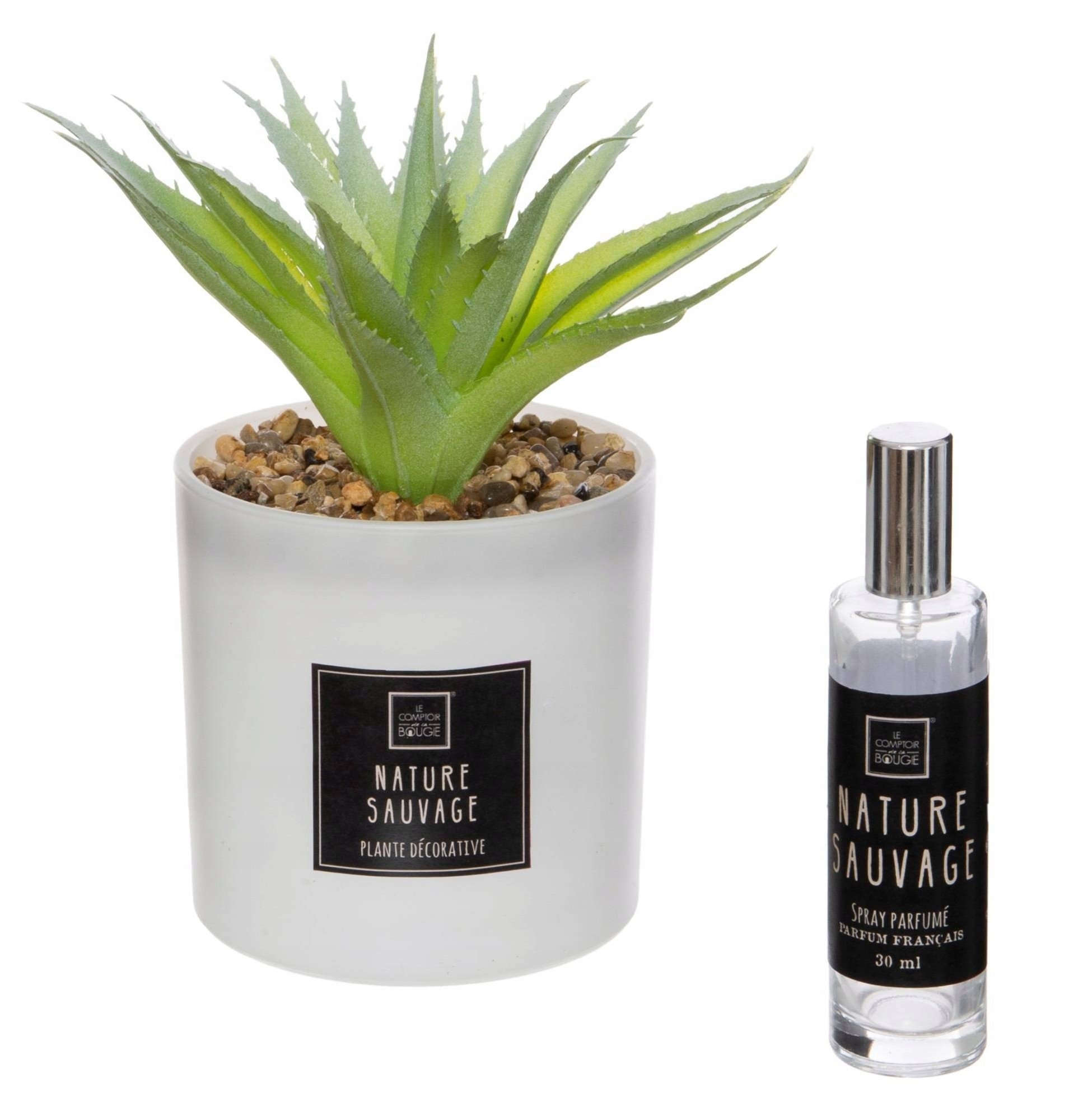 Sztuczna roślina z olejkiem zapachowym PUNCHY CACTUS